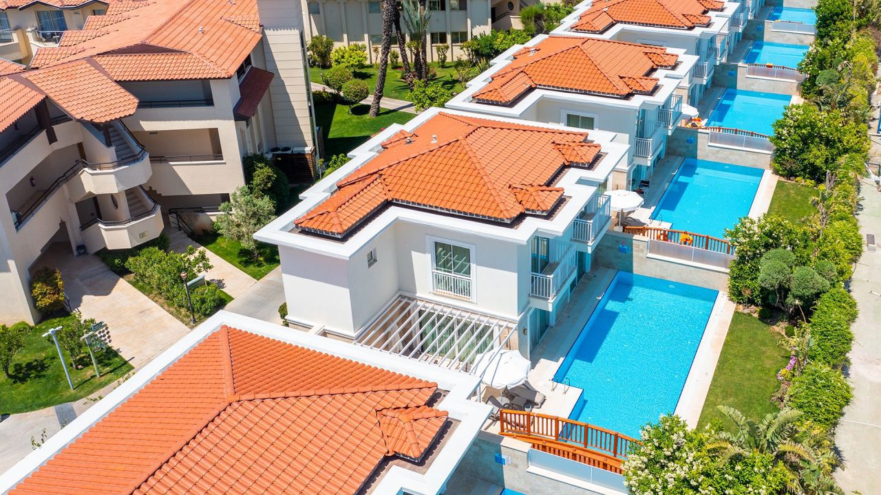 Bellis Villa